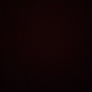 Meet your Posher, Joey